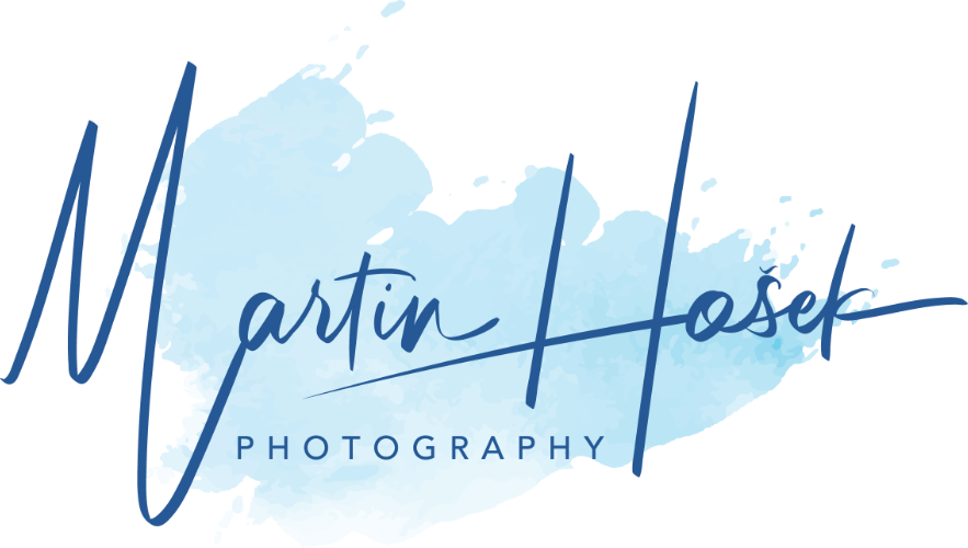 Martin-Hosek-skt-blue-high-res